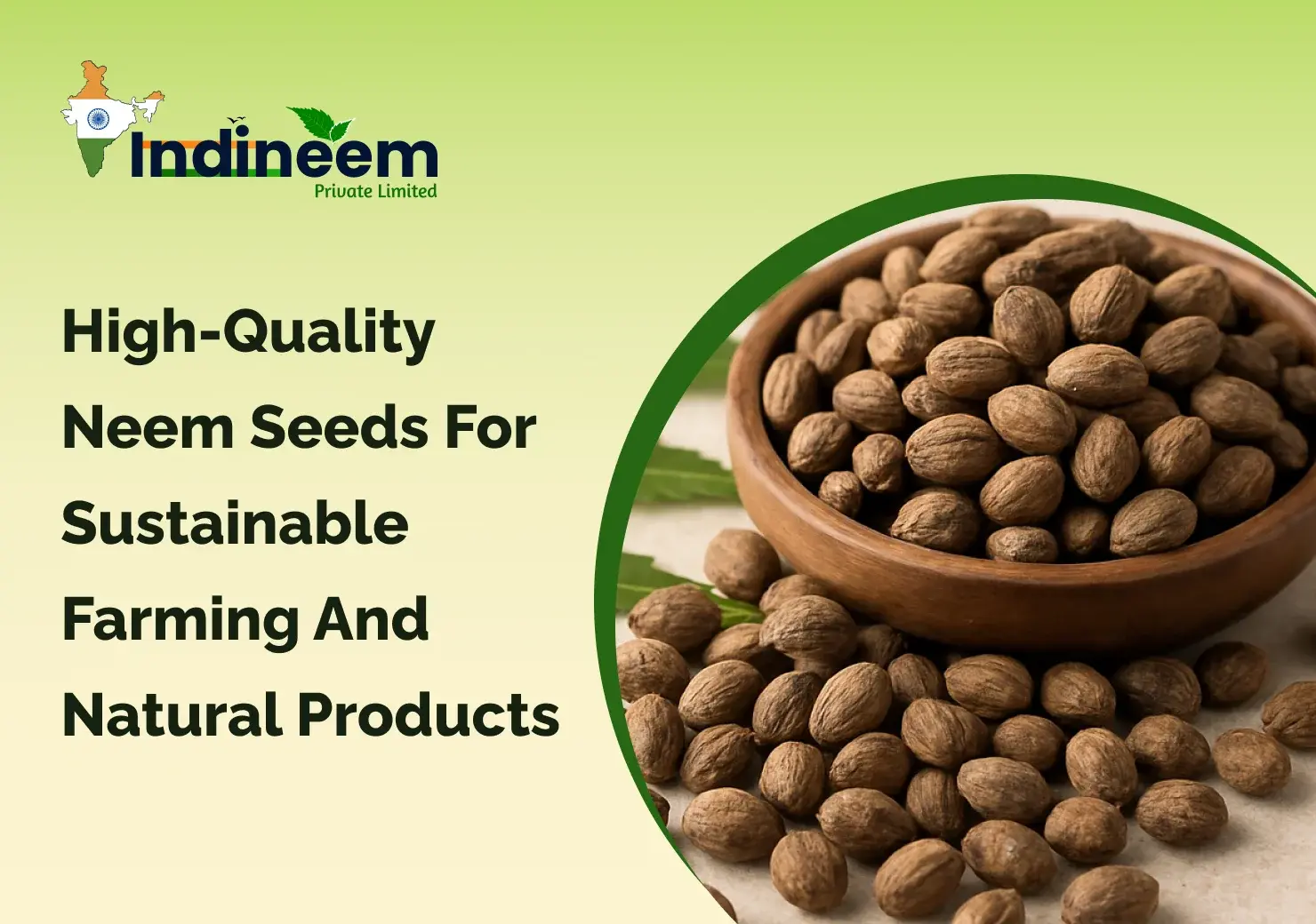 High-Quality Neem Seeds for Sustainable Farming and Natural Products