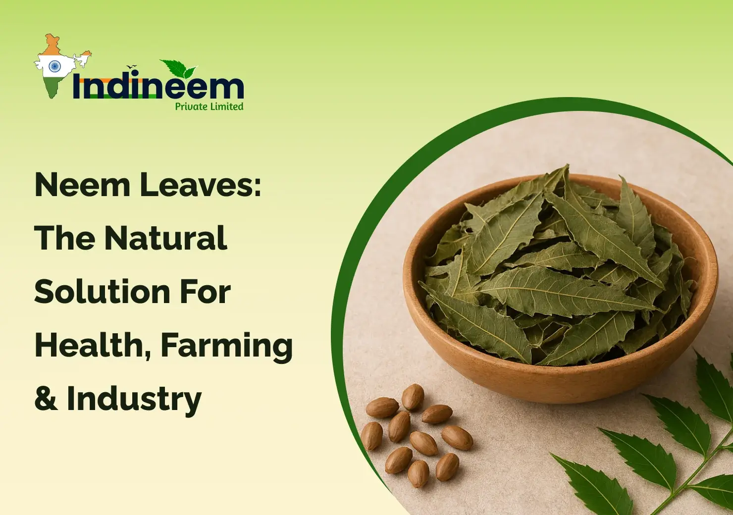 Neem Leaves the Natural Solution for Health, Farming & Industry
